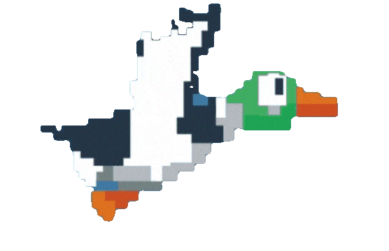 duck